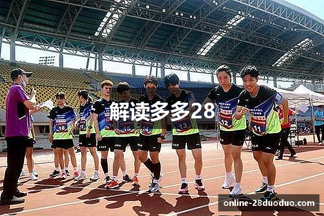 解读多多28
